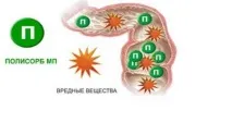 polysorb polysorb