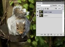 photoshop изображения
