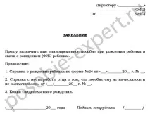 Отримання документів та посібників на новонароджену дитину у Всеволожську, Життя у Всеволожську посібників