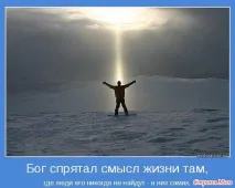 банка банка