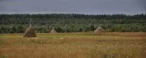витегорски област Витегорски