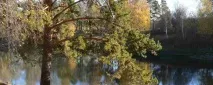 шабровски областния център Екатеринбург
