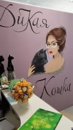 студио красота