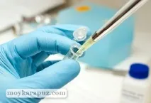 Процедура ЕКЗ показання, підготовка, як роблять показання
