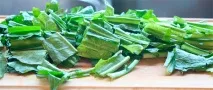 пробиотици пробиотици