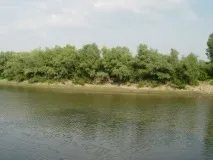 река флора
