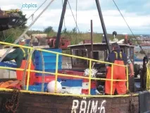 аметит мебаас