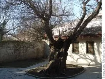 отговаря разкажете
