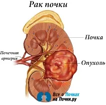 мъже мъже