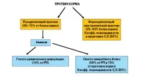 Роль протеїну в раціоні великої рогатої худоби протеїну