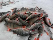 гачка