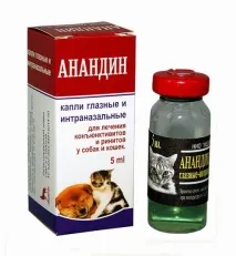 ринотрахеїт
