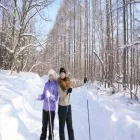 санаториум санаториум