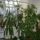 басейн каскаден юматово