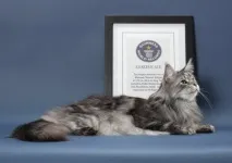 световните котки