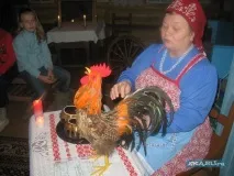 коледна коледна