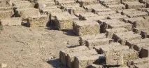 сами