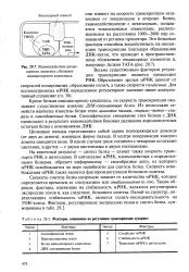 нефт скорост