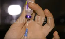 Симптоми та лікування чумки у собак собак