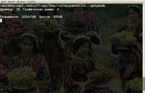Слово про використання модуля Graph у Linux слово