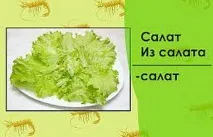 готвене рецепти
