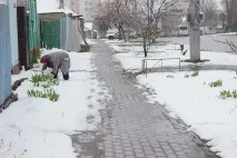 Сніг наприкінці квітня сніг