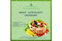 система