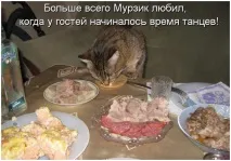 Смішні картинки про кулінарії та їжу смішні