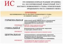 корсети корсети