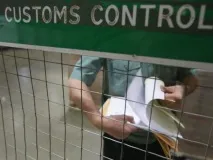 колко кедрови