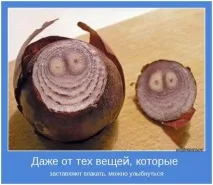 Смішні картинки про кулінарії та їжу кулінарії