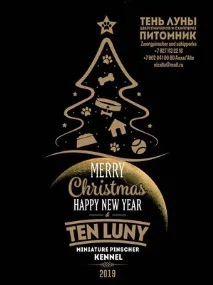 З новим роком і Різдвом! ten-lunys Jimdo-Page! різдвом