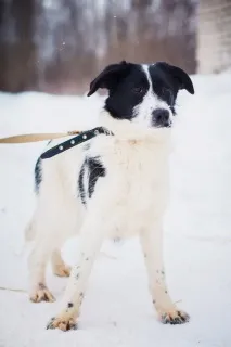 някои някои