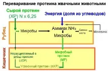 статии хранителна
