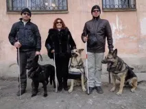 Собаки-поводири - помічники незрячих людей людей