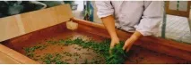 производители 20-те години