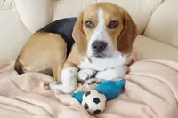 необхідного