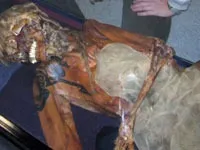 Татуювання не дає можливості розшифрувати таємницю алтайської принцеси алтайської