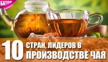 производителки различни видове