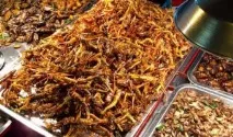 Тайська кухня звідки беруться смажені коники, Новини Таїланду кухня