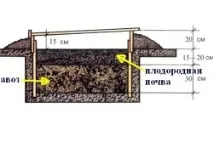 направи