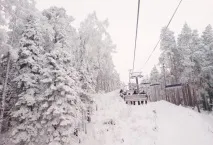 комплекса tanay