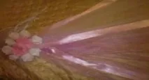 Прикраса на машину, як зробити своїми руками - фото, майстер клас, Самі своїми руками прикраса