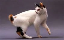 снимка