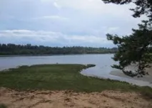 трансфер трансфер