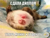 Тверда обкладинка дипломів у центрі Києва за 5 хвилин, прошивка дисертацій, палітурка на пружину дипломів