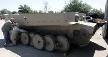 тигър оцелели