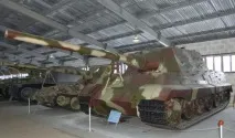 тигър семейството
