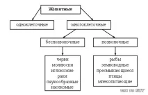 Урок 7 ТІЛА,РЕЧОВИНИ, ЧАСТИНИ, Поурочні плани щодо навколишнього світу 3 клас, Пізнання світу тіла
