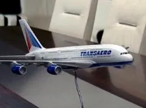 Керуючий - Трансаеро - Котов виключено з арбітражної асоціації - суд, їсть керуючий